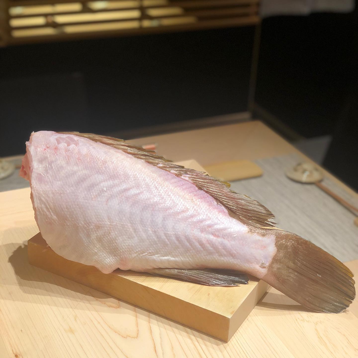 本日ご紹介するのは鹿児島から直送してもらった「あら」！

5.8kgの大型なので、4〜5日寝かせてから使おうと思います！

2枚目の写真の鍋島と、九州コンビで楽しんでみてはいかがでしょうか。鍋島はこれからの季節燗酒にしても美味しいです！


@mashiko.tsukamoto