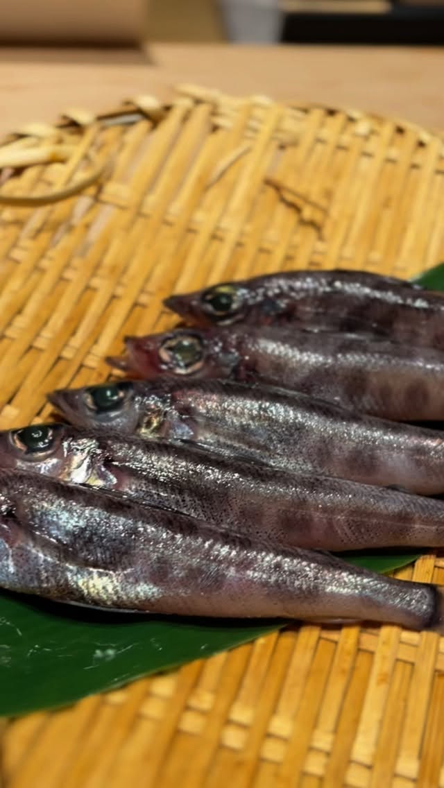 メリカリ一夜干し
魚体は小さいが脂乗りが素晴らしい魚