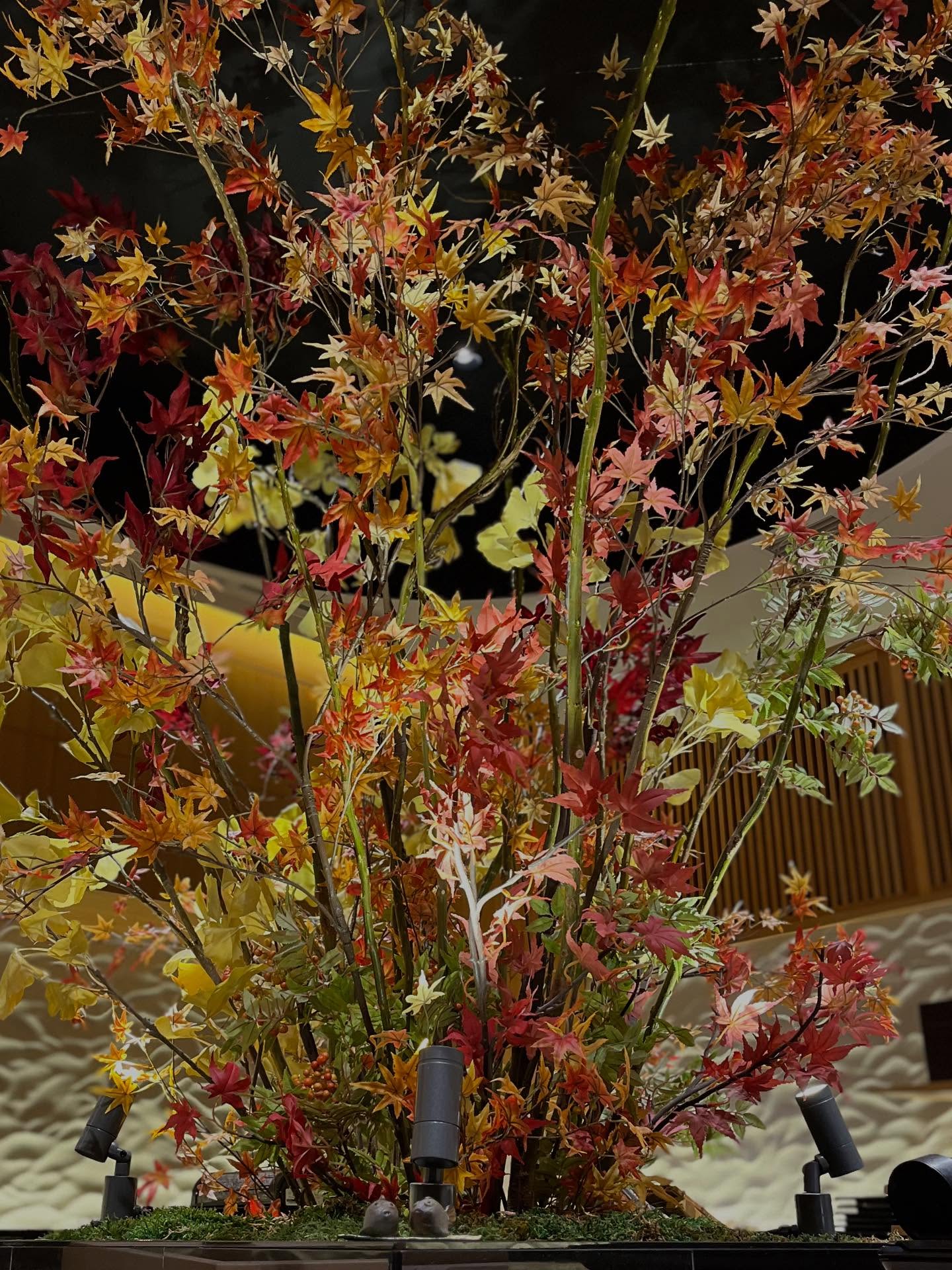 今年も紅葉の季節がやってきました

食材もだんだんと秋めいたものが出始めてきてます‍🟫

ぜひご来店になって堪能くださいませ

表参道ランチ